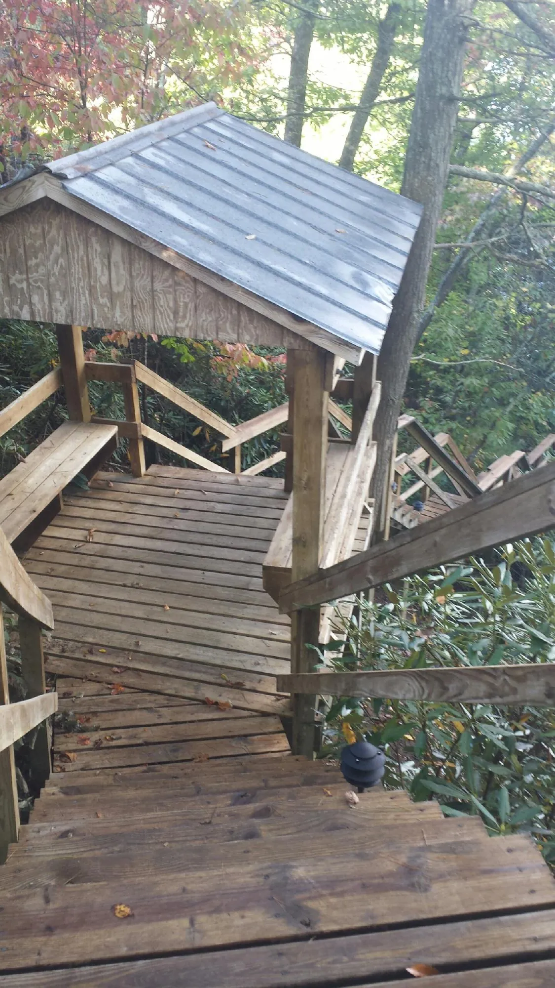 Metal roofed shelter over wooden steps on a wooded walkway — Skylight Repair & Installation work by our crew in Dahinda